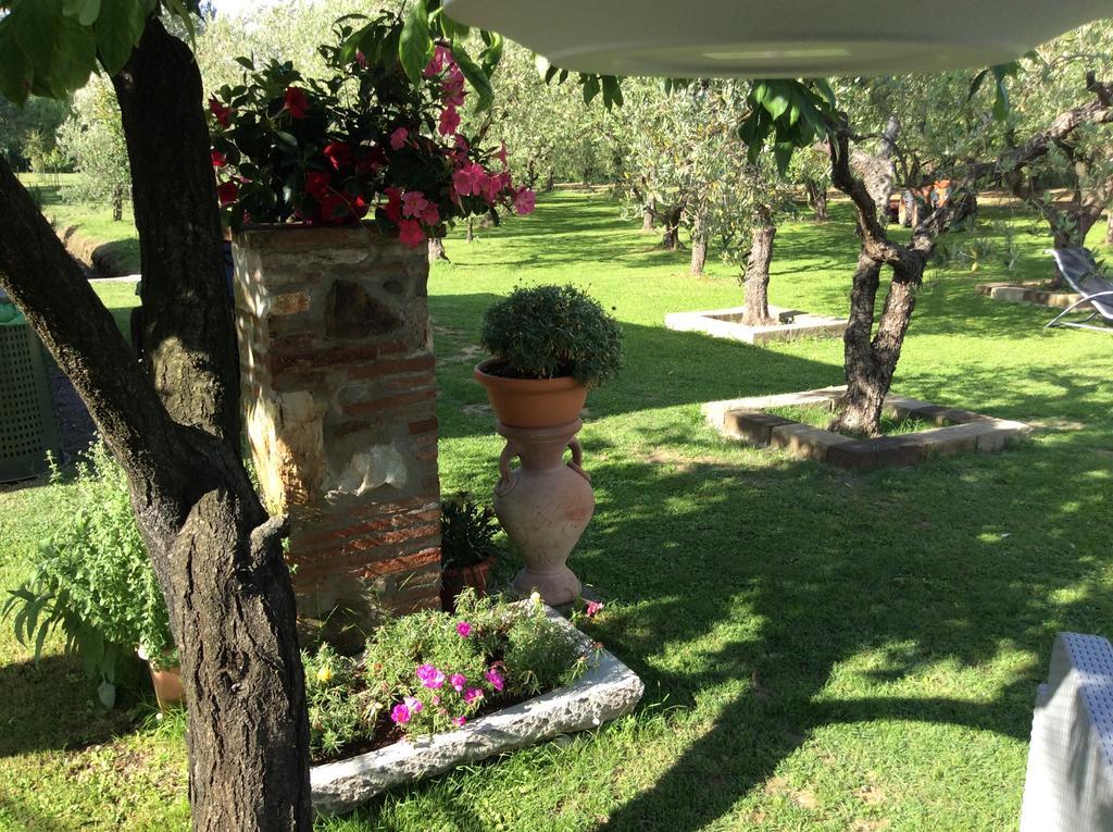 Tenuta Fagnani ลุคคา ภายนอก รูปภาพ